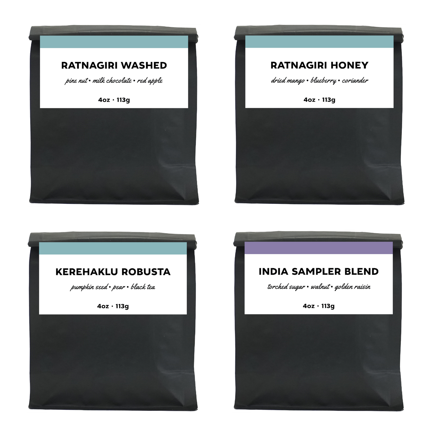 Discovery Sampler: Karnataka, India