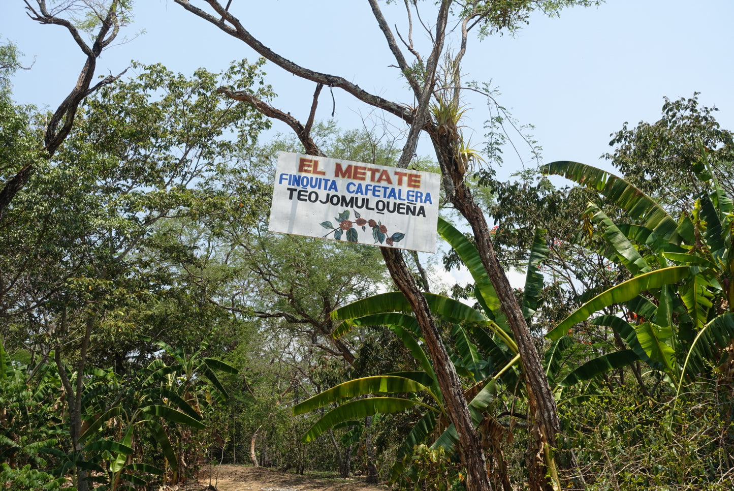Teojomulco • Mexico