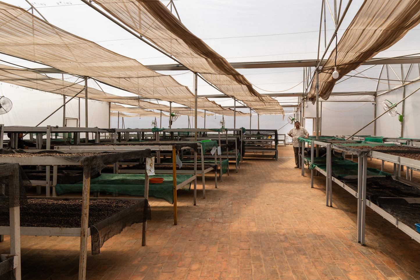 Ratnagiri Estate • India