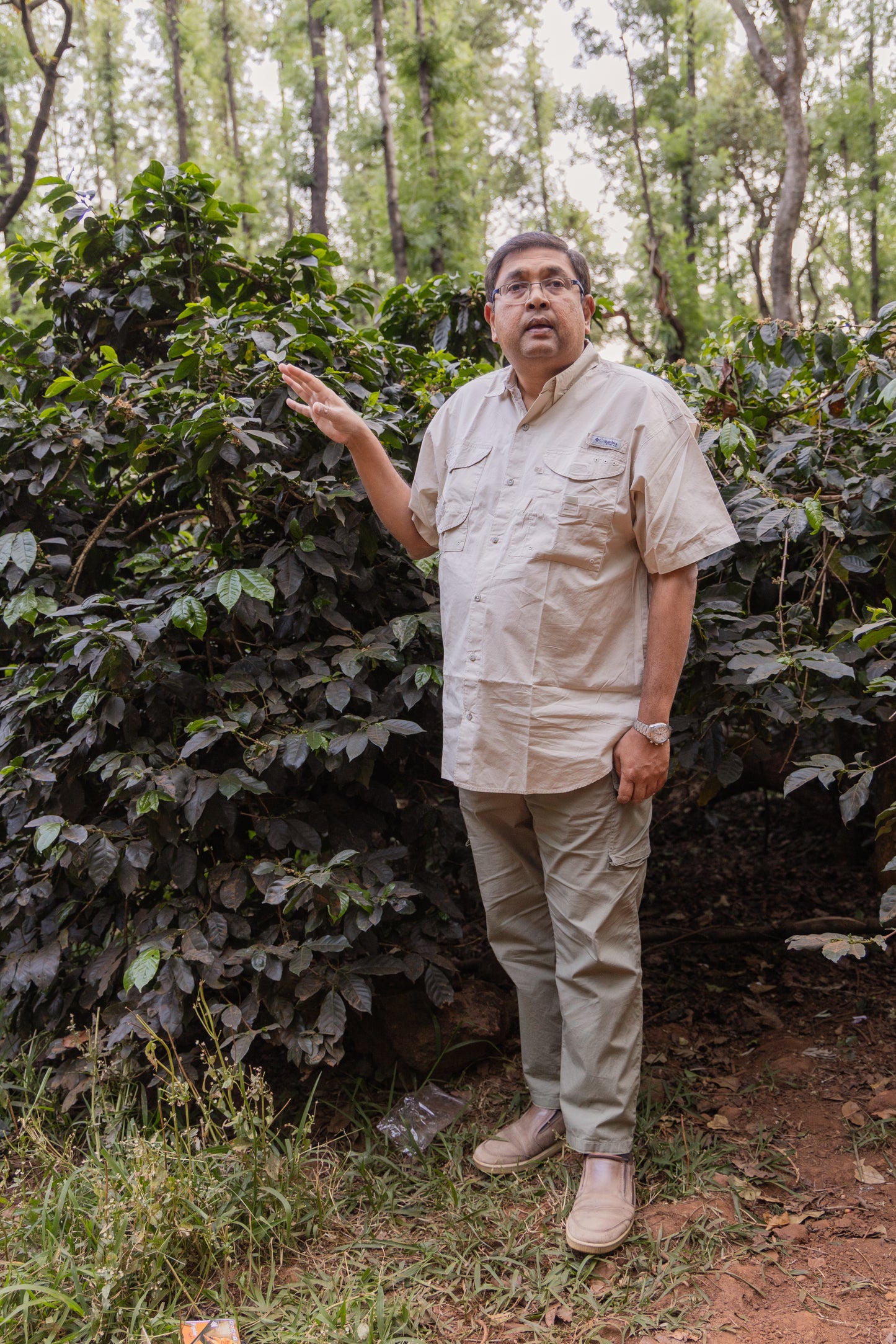 Ratnagiri Estate • India