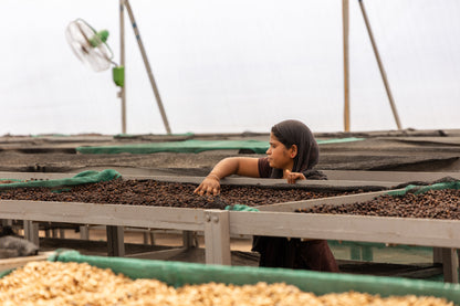 Ratnagiri Estate • India