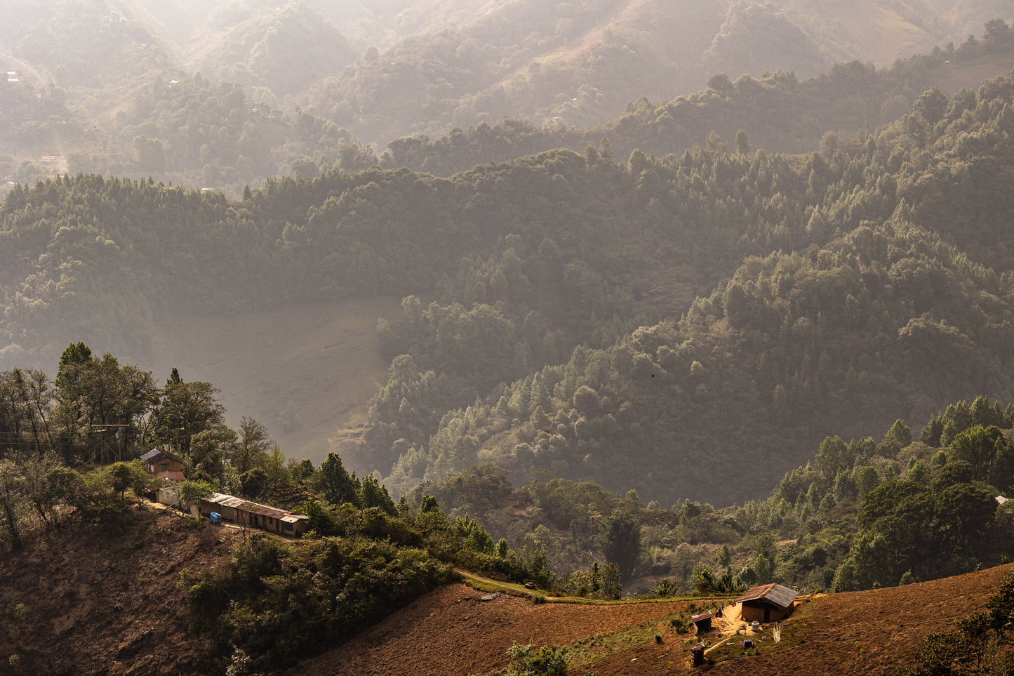 Mazateca Mujeres • Mexico